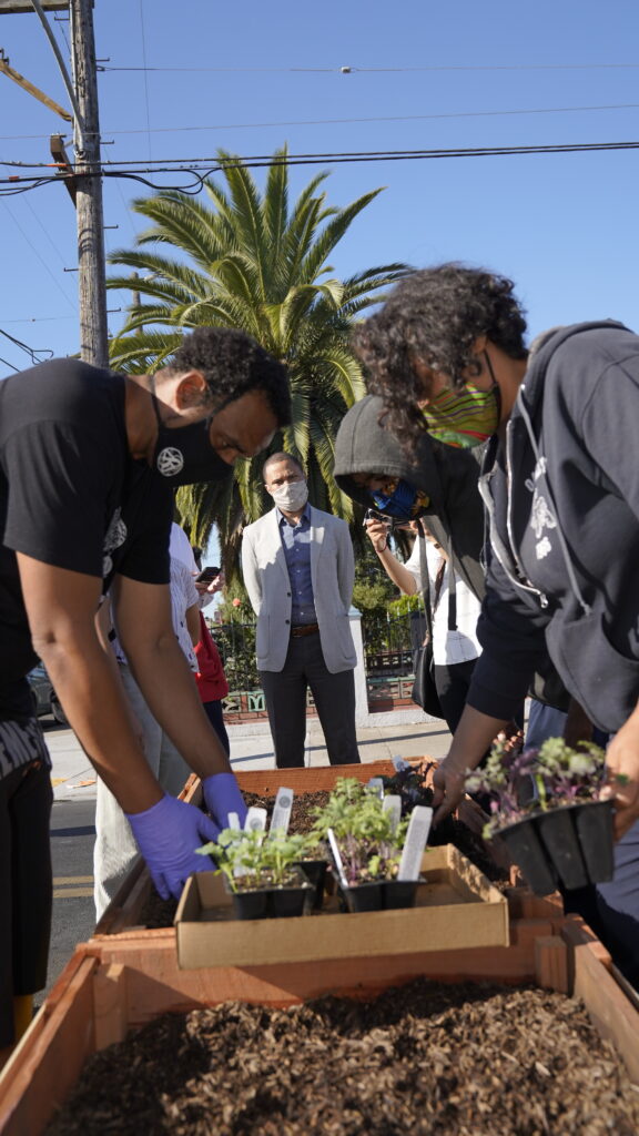Image of people planting vegetables in planter barricades. A palm tree is visible in the background.
